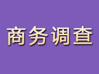 大田商务调查