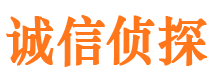 大田市侦探调查公司